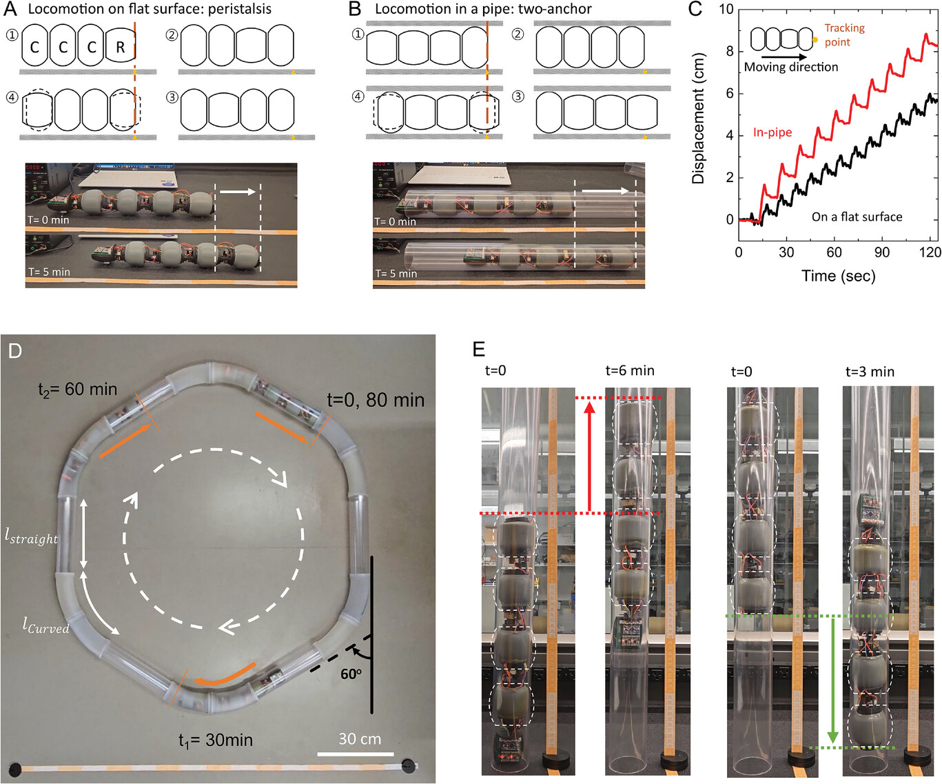Модульный робот-червь - 6
