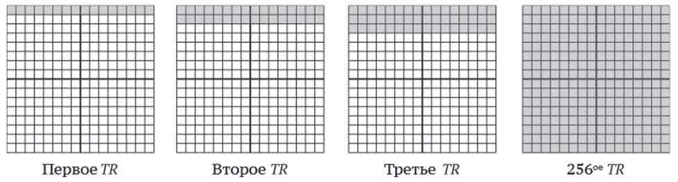 Рисунок 16. Схема заполнения К-пространства данными [2]
