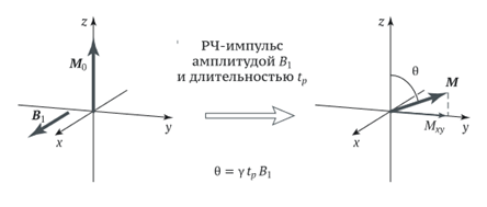 Рисунок 10. Поворот вектора М при воздействии РЧ-импульса [2]