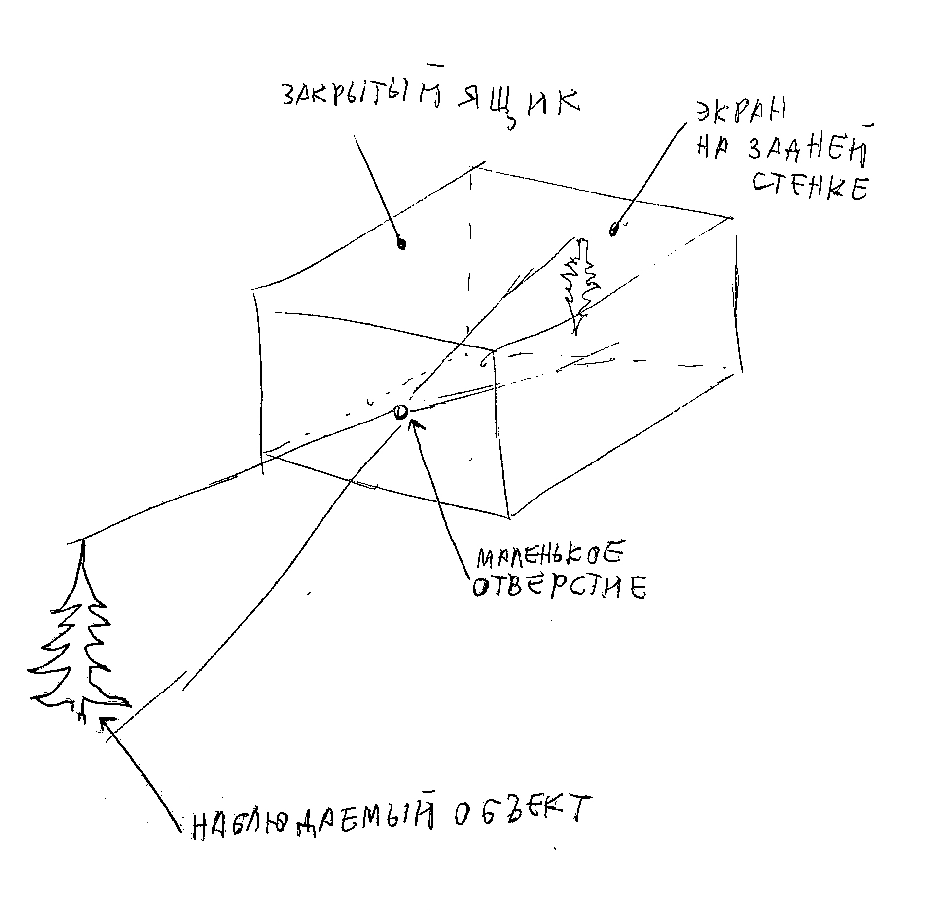 Простые способы изготовить микроскоп и изучать простейших, читать маркировку деталей и не только - 6
