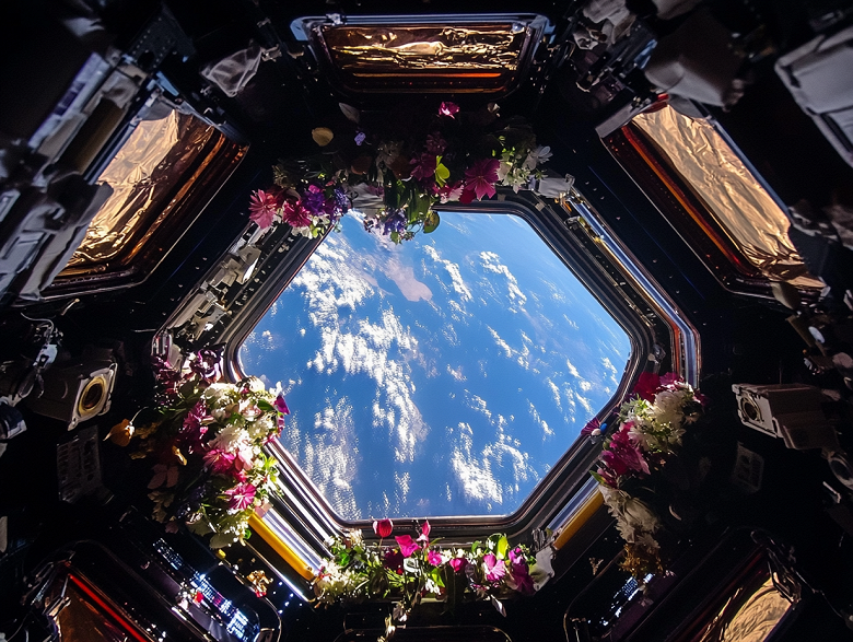 В России создали микросборки для космоса и авиации. Что это за устройства