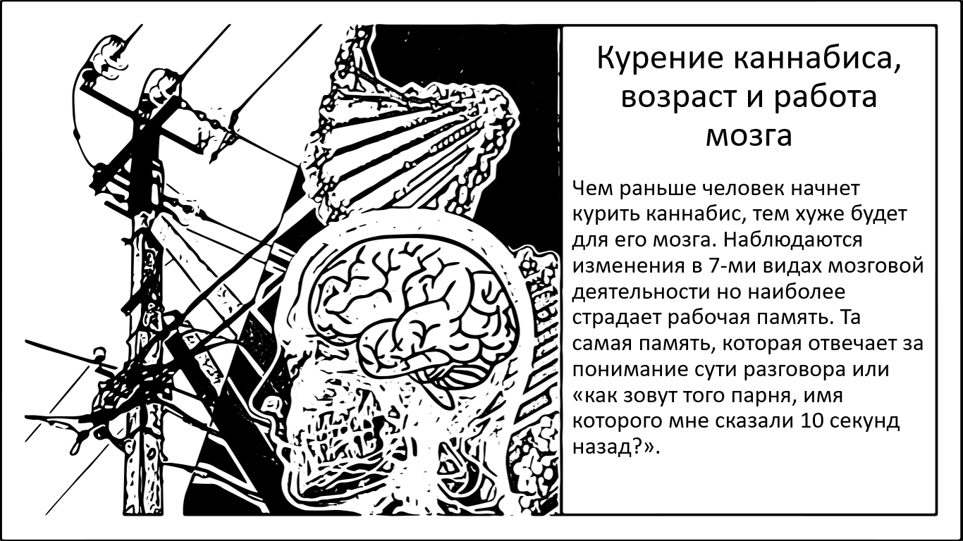 Как курение каннабиса влияет на мозг людей в разном возрасте - 1