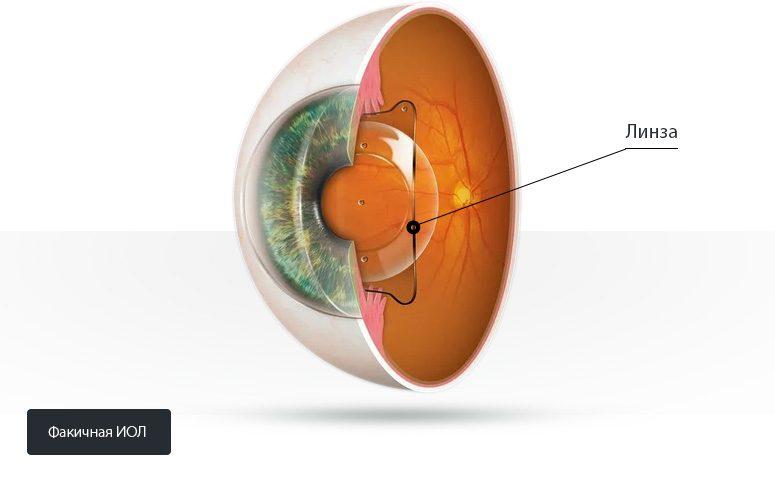 Изображение выглядит как часы, апельсин, дизайн, искусство  Автоматически созданное описание со средним доверительным уровнем