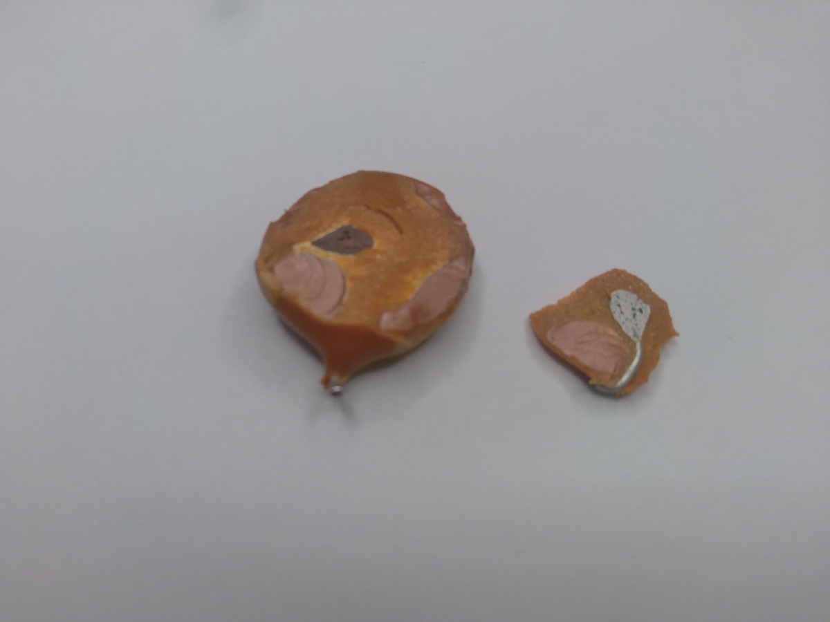 Обзор конструкции конденсатора К15-5 - 2 Обзор конструкции конденсатора К15-5 - 2