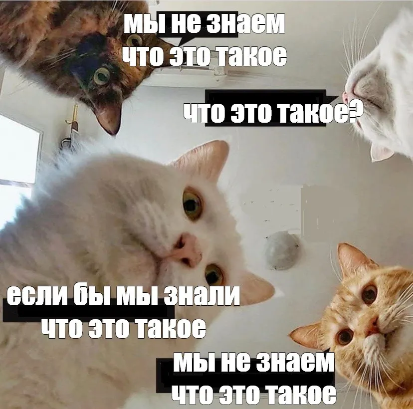 Унификация терминологии в документации: ключ к точности и удобству для пользователей - 2 Унификация терминологии в документации: ключ к точности и удобству для пользователей - 2