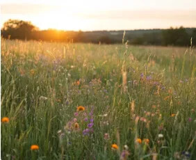 Elements от Kling AI: как использовать для генерации видео из изображений, воплощая ваши идеи