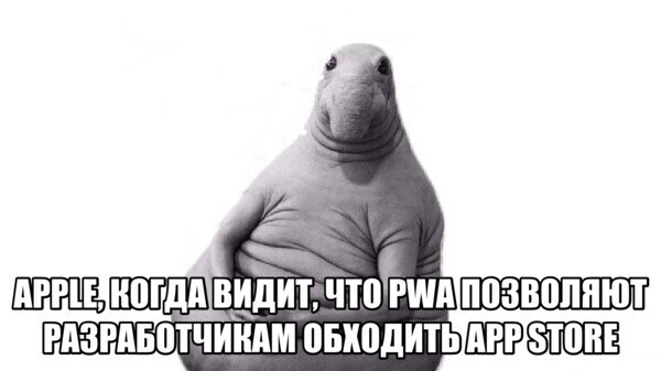 Пока Apple саботирует развитие PWA, мы сделали демо с контактами, пуш-уведомлениями и биометрией - 2