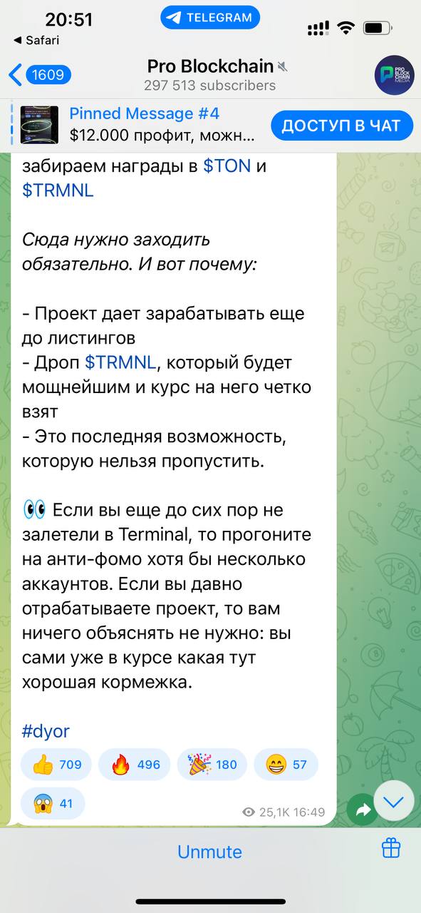 Реклама Terminal в канале Pro Blockchain. Источник - официальный Telegram канал Pro Blockchain.