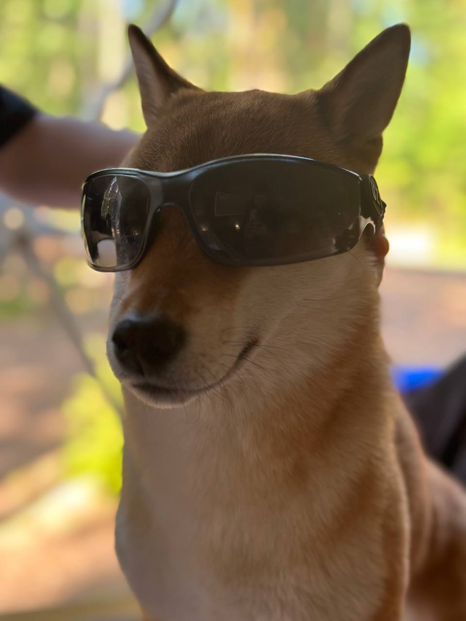 Как при помощи OKR расти Х2 стартапу - 10