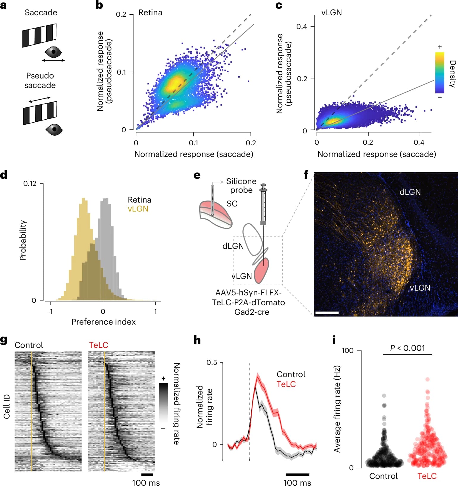 Глаза и мозг: коррекция изображения в движении - 5