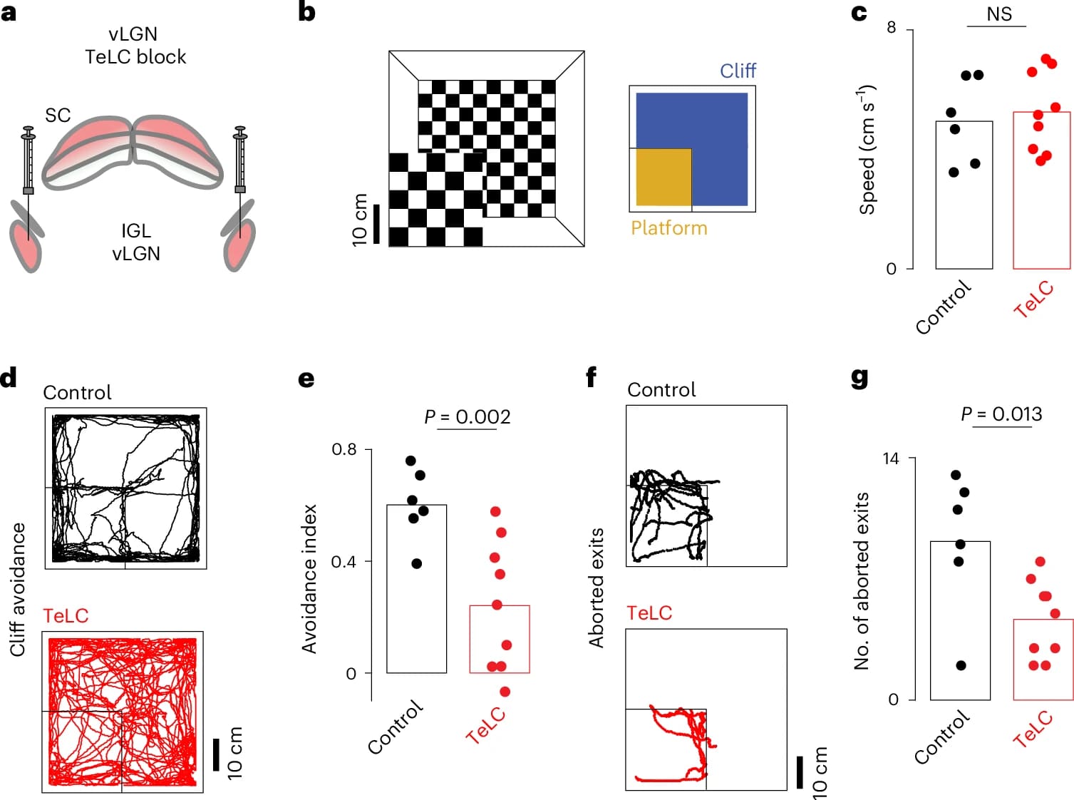 Глаза и мозг: коррекция изображения в движении - 6