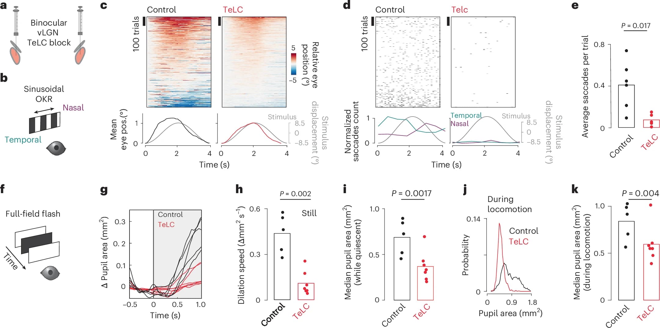 Глаза и мозг: коррекция изображения в движении - 8