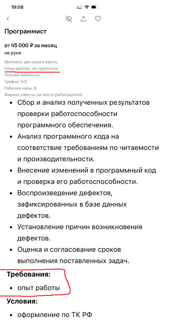 Здесь прекрасно всё