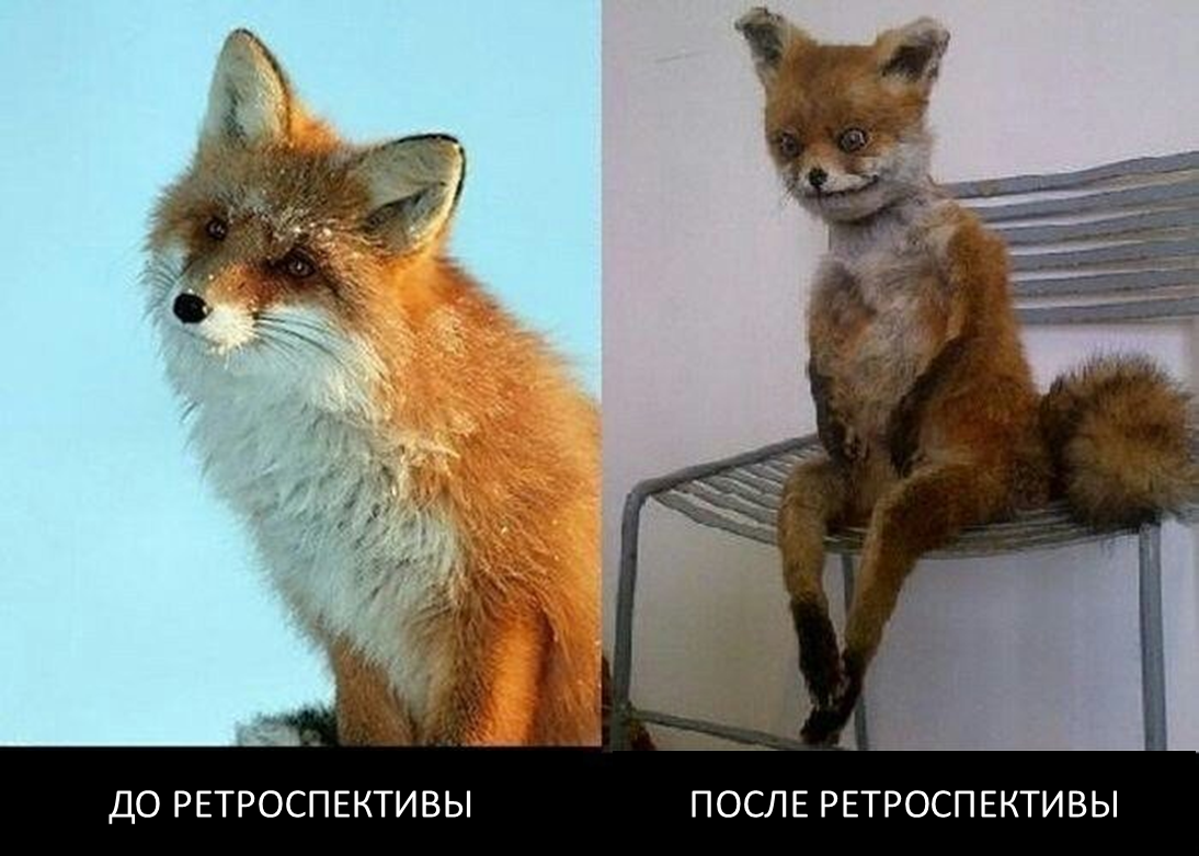 Как провести ретроспективу, которая реально работает - 2 Как провести ретроспективу, которая реально работает - 2