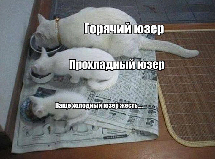 Знания о пользователе крутятся, кэт бустится.