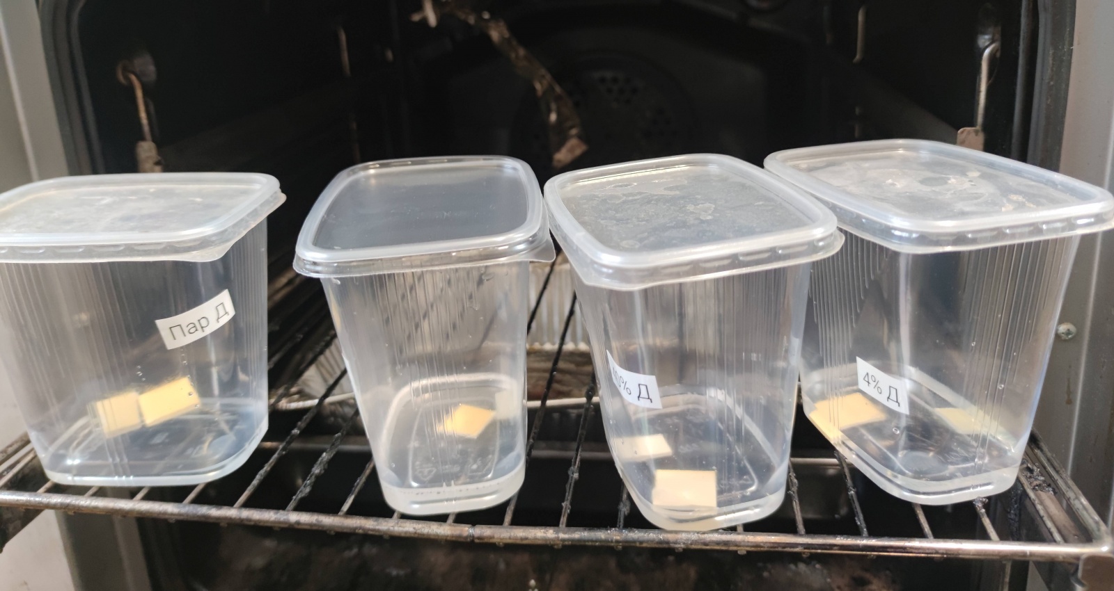 Разложил их по пищевым контейнерам, примерно вот так