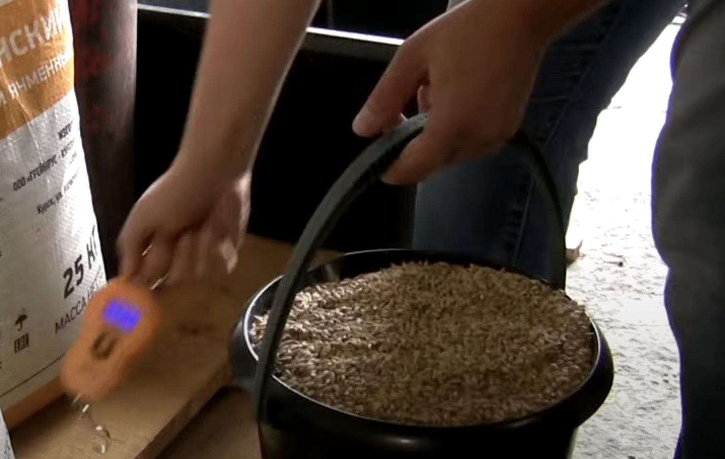 Солод – это намоченные и немного пророщенные зерна ячменя.  