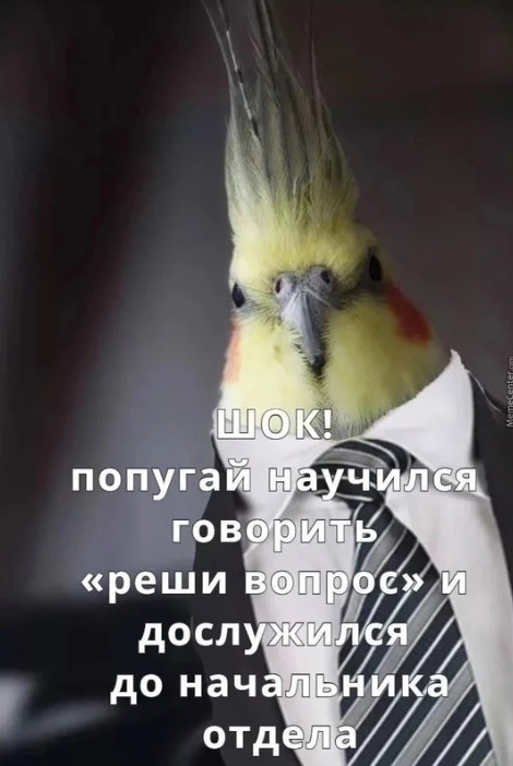 Получается, если в этом меме заменить «попугай» на «стохастический попугай», то это будет шутка про GPT 5