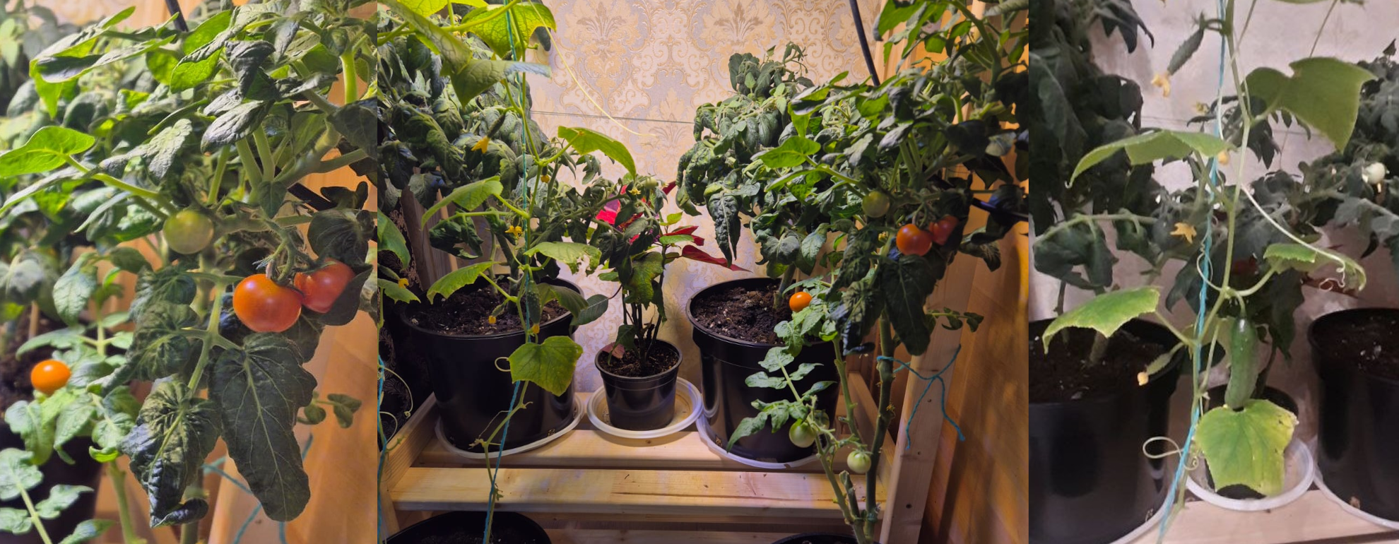 Фитолампа на жесткой логике для грядки на подоконнике своими руками - 12 image