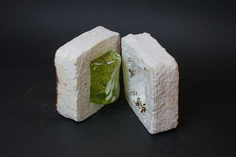 Учёные создали биоразлагаемый материал для 3D-печати из кофейных отходов и грибного мицелия - 1 Учёные создали биоразлагаемый материал для 3D-печати из кофейных отходов и грибного мицелия