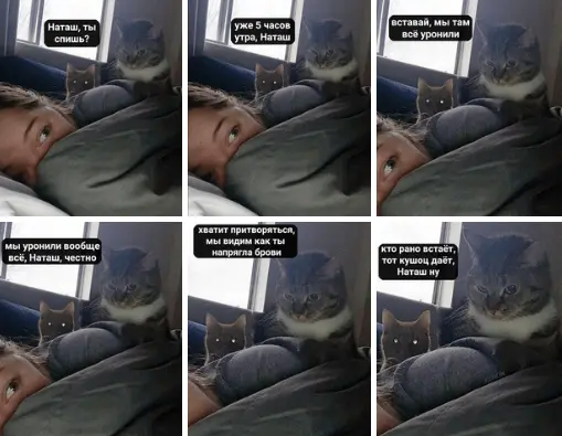 Не только «Наташ, вставай, мы все уронили»: как мемы становились товарными знаками - 2 Не только «Наташ, вставай, мы все уронили»: как мемы становились товарными знаками - 2