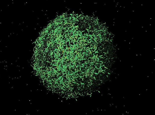 Дерево Дайсона - 3