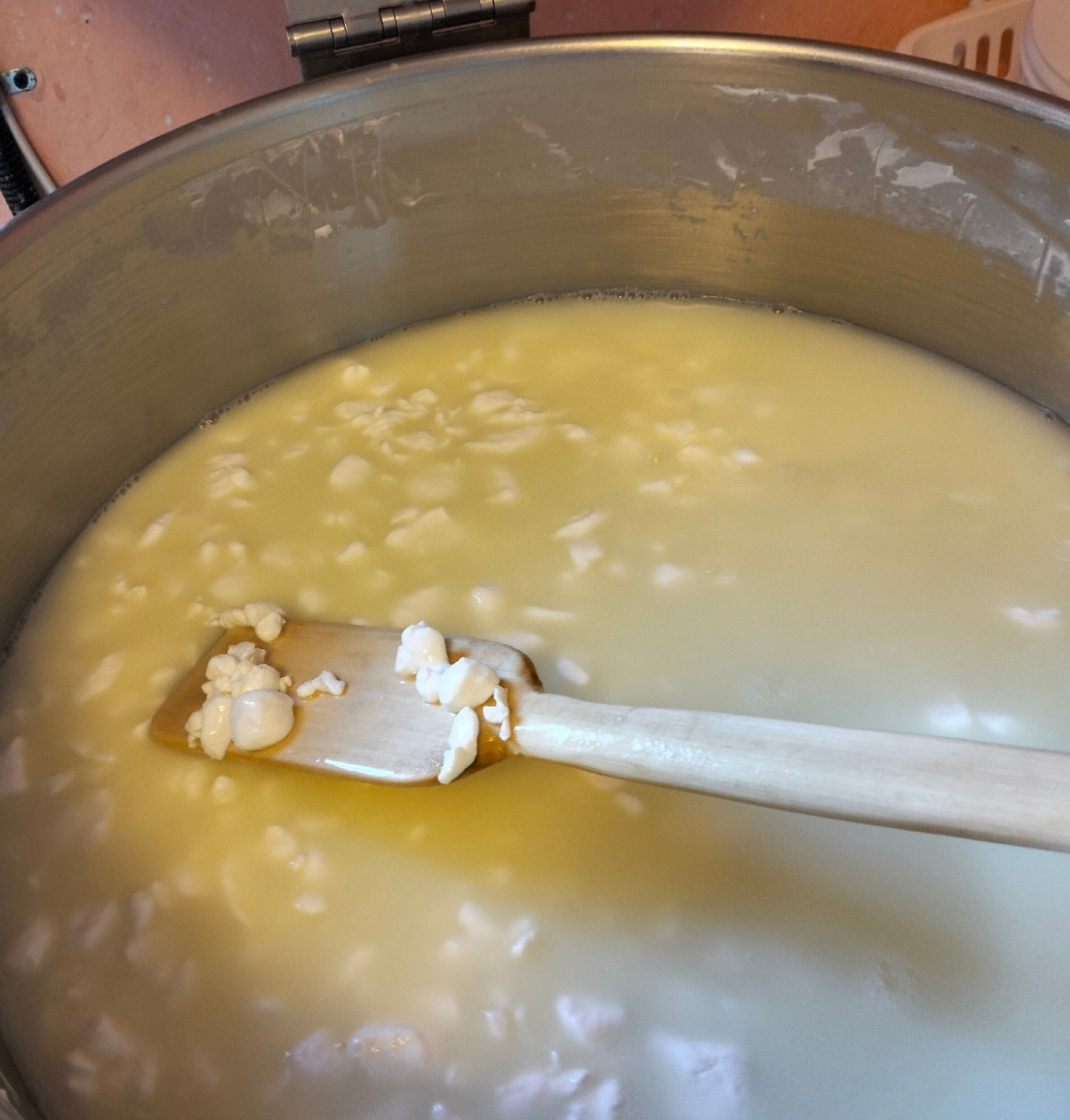 Получается сырное зерно