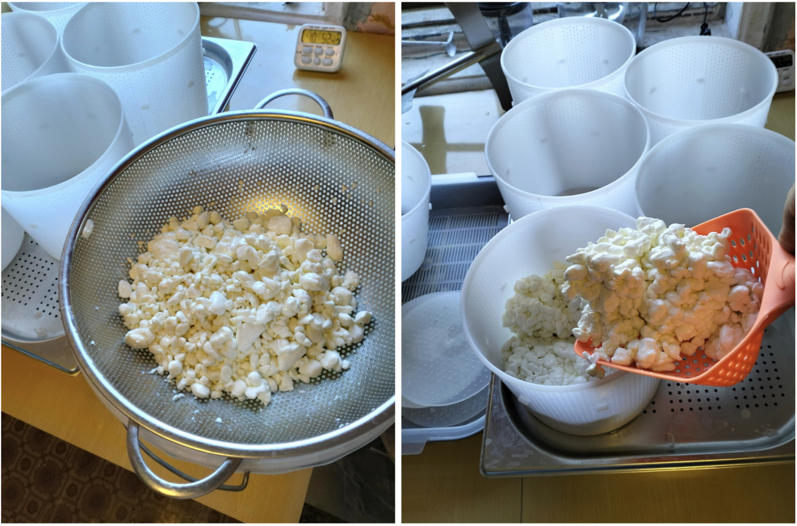 Зерно отделяю от сыворотки и раскладываю по формам