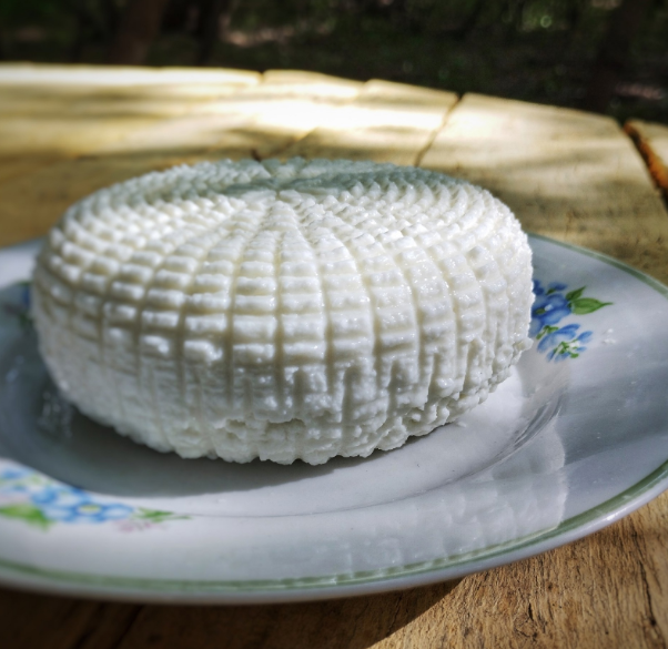 Наконец начал продавать первый сыр.