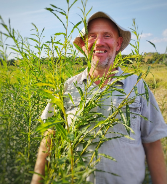 В остальном стараемся действовать традиционно. Это я с ивой — в будущем хочу давать её козам как средство от гельминтов