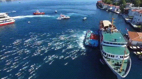 Старт заплыва Босфор 2016.