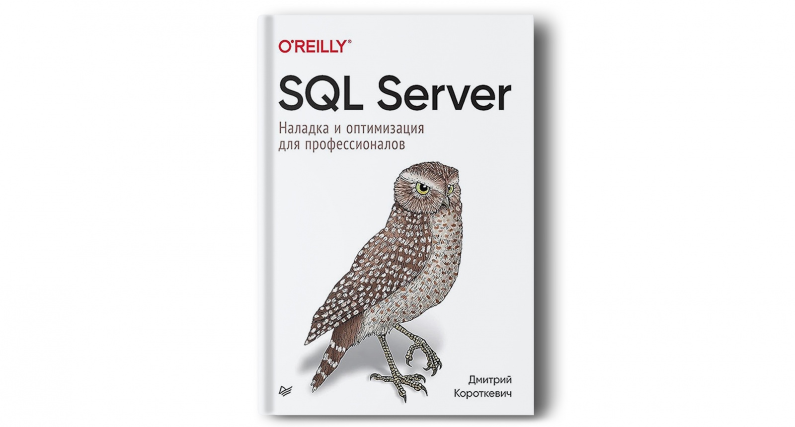Книги по базам данных, которые стоит прочитать в 2025 году - 6