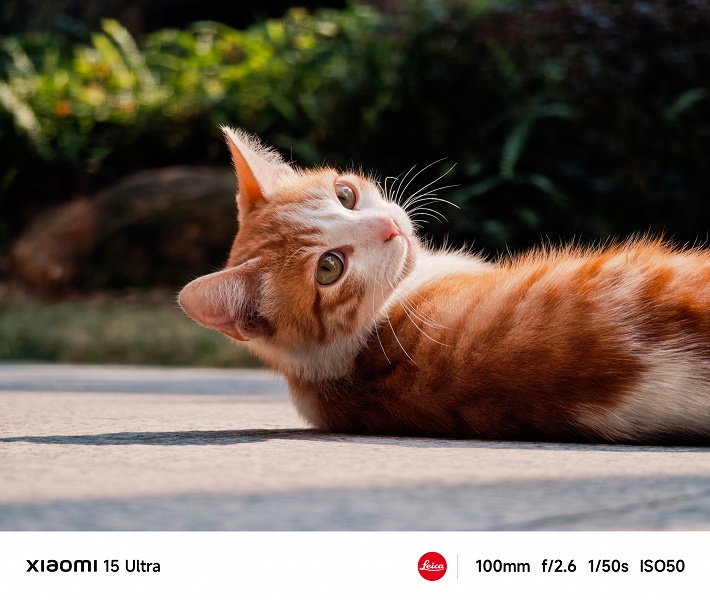 Он бросит вызов Samsung Galaxy S25 Ultra и iPhone 16 Pro Max. Представлен Xiaomi 15 Ultra: 200-мегапиксельная камера Leica, 6000 мАч, 90 Вт, IP68 и экран 2К