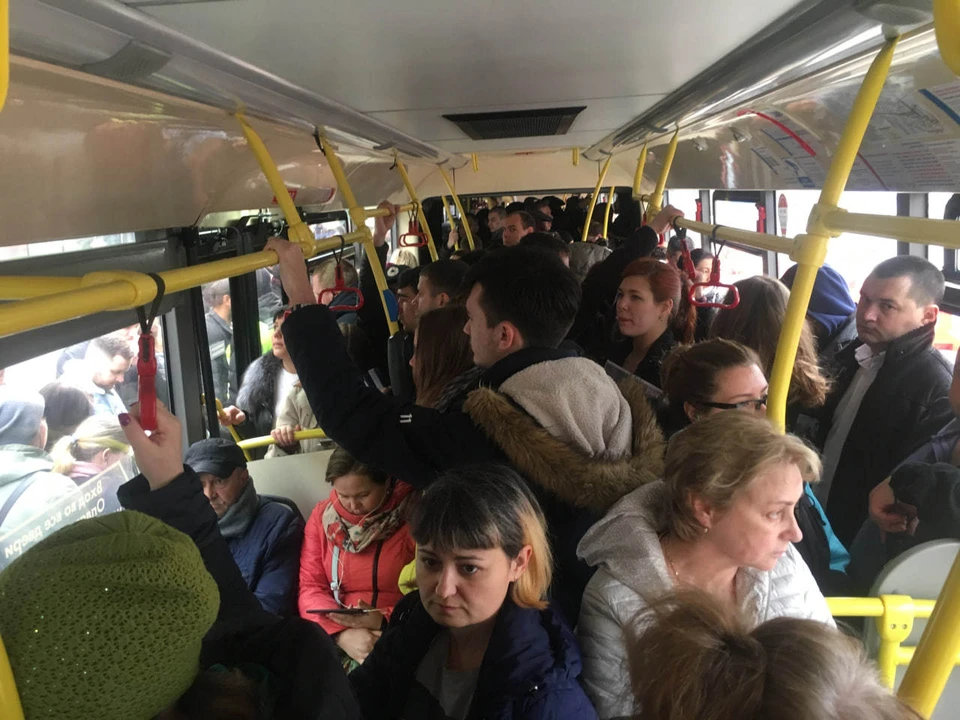 Затравочка :-)