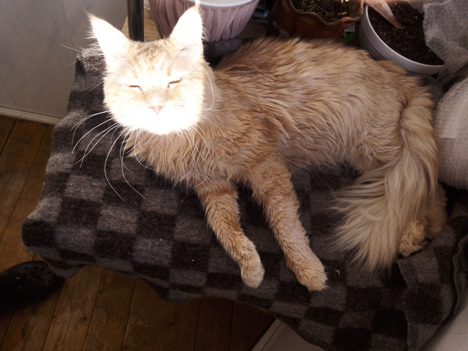 Полтора года с телефоном на «Авроре»: плюсы и минусы российской ОС с точки зрения обычного пользователя - 13 Полтора года с телефоном на «Авроре»: плюсы и минусы российской ОС с точки зрения обычного пользователя - 13