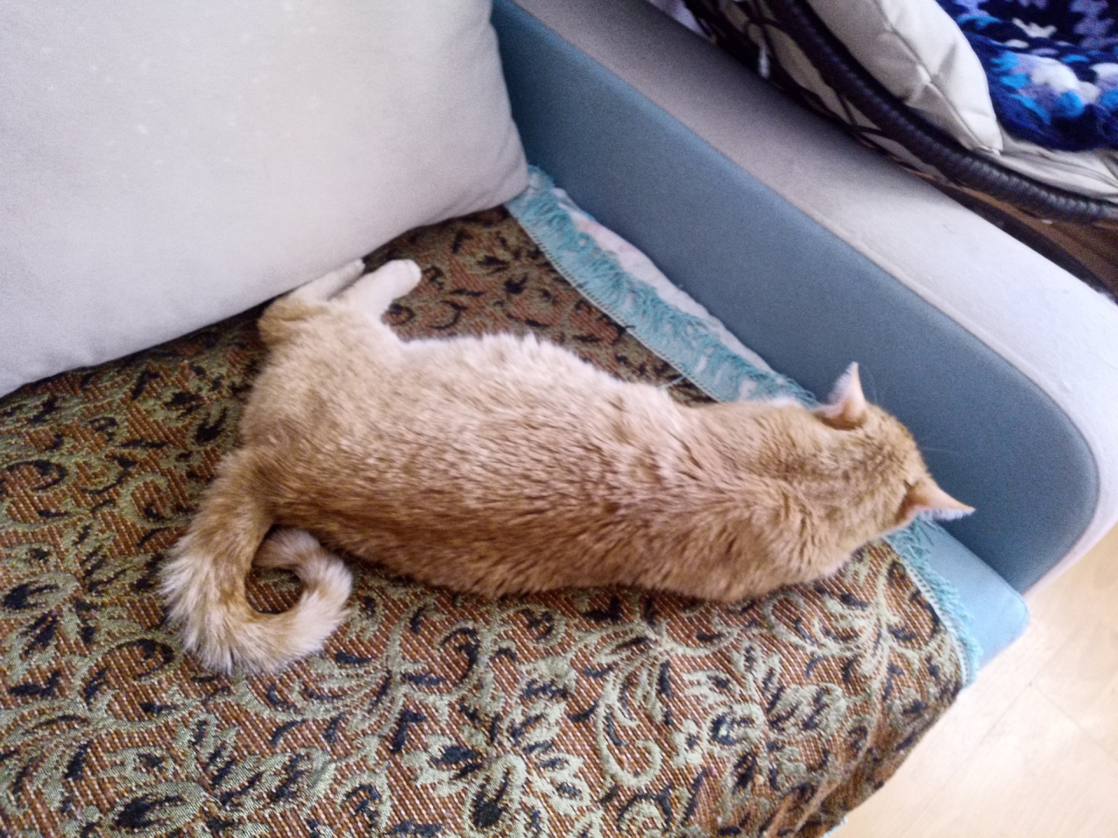 Полтора года с телефоном на «Авроре»: плюсы и минусы российской ОС с точки зрения обычного пользователя - 14 Полтора года с телефоном на «Авроре»: плюсы и минусы российской ОС с точки зрения обычного пользователя - 14