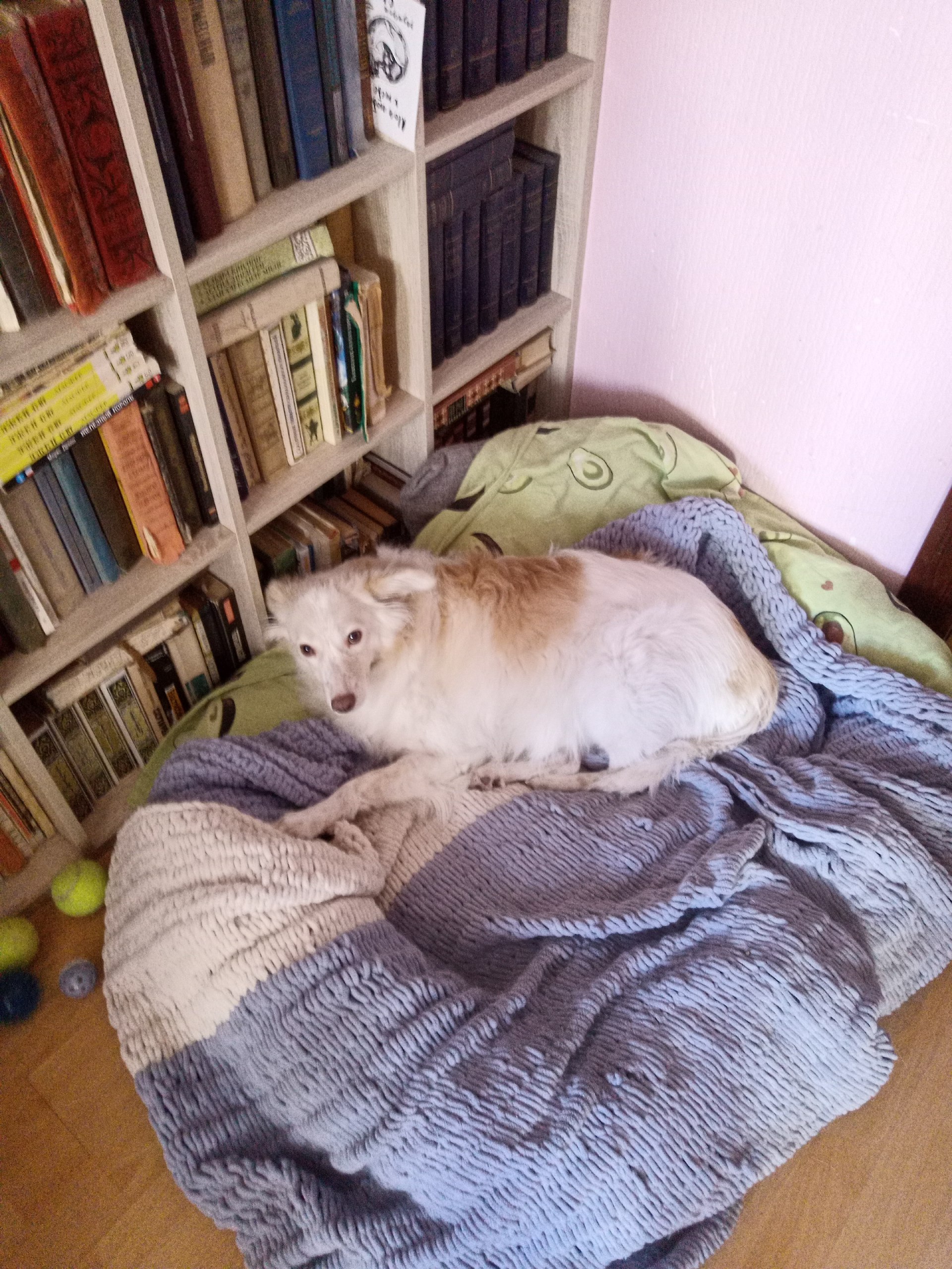 Полтора года с телефоном на «Авроре»: плюсы и минусы российской ОС с точки зрения обычного пользователя - 16 Полтора года с телефоном на «Авроре»: плюсы и минусы российской ОС с точки зрения обычного пользователя - 16