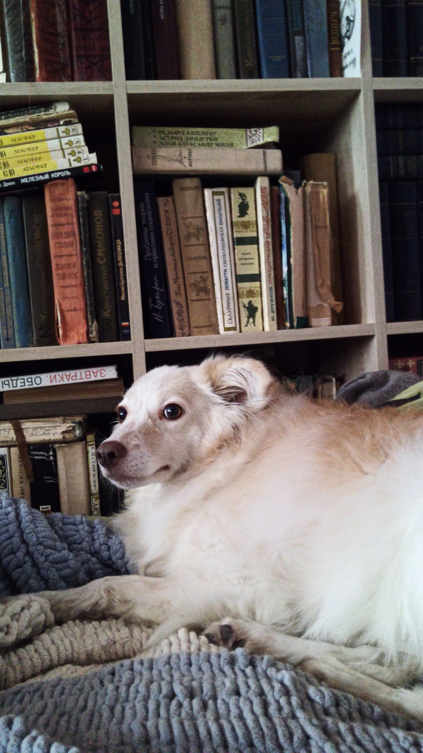 Полтора года с телефоном на «Авроре»: плюсы и минусы российской ОС с точки зрения обычного пользователя - 17 Полтора года с телефоном на «Авроре»: плюсы и минусы российской ОС с точки зрения обычного пользователя - 17