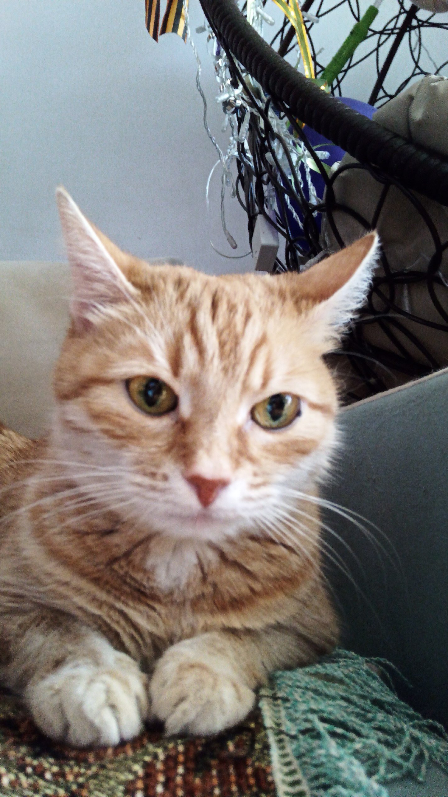 Полтора года с телефоном на «Авроре»: плюсы и минусы российской ОС с точки зрения обычного пользователя - 18 Полтора года с телефоном на «Авроре»: плюсы и минусы российской ОС с точки зрения обычного пользователя - 18