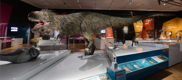 Почему так сложно выяснить, как выглядел тираннозавр - 10