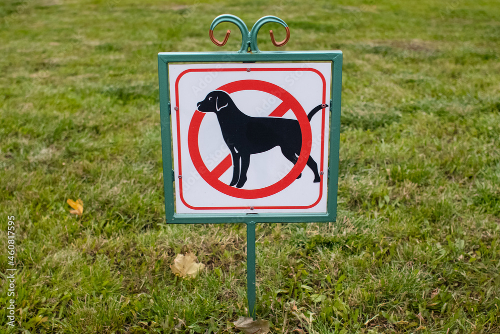 Не этот груминг, не этот