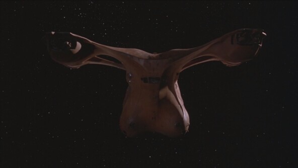 <p> Корабль главного героя «Битвы за пределами звёзд». Кэмерон <a href="https://api.dtf.ru/v2.8/redirect?to=https%3A%2F%2Farchive.org%2Fdetails%2Fisbn_9780307460318%2Fpage%2F20%2Fmode%2F2up&postId=1484176" rel="nofollow noreferrer noopener" target="_blank">презентовал</a> его Корману со словами: «It’s a spaceship with tits.»</p>