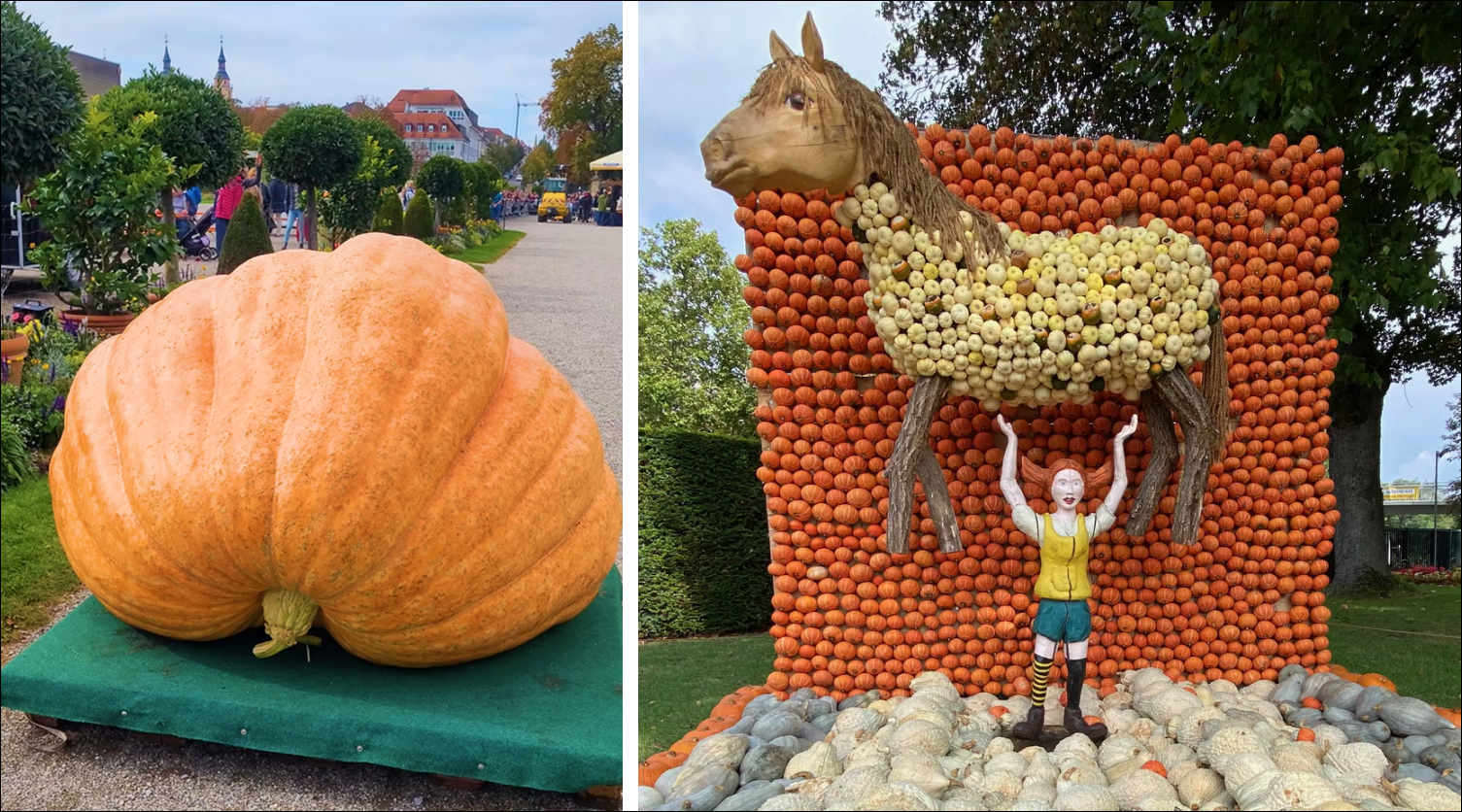 Приезжайте к нам в Германию, у нас айтишники живут в коммуналках и пляшут с бубном, чтобы выжить - 9
