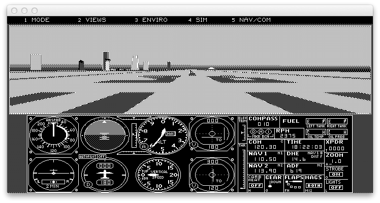 Microsoft Flight Simulator