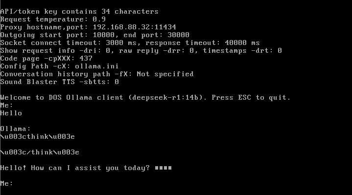 Запускаем клиент DeepSeek под DOS - 3
