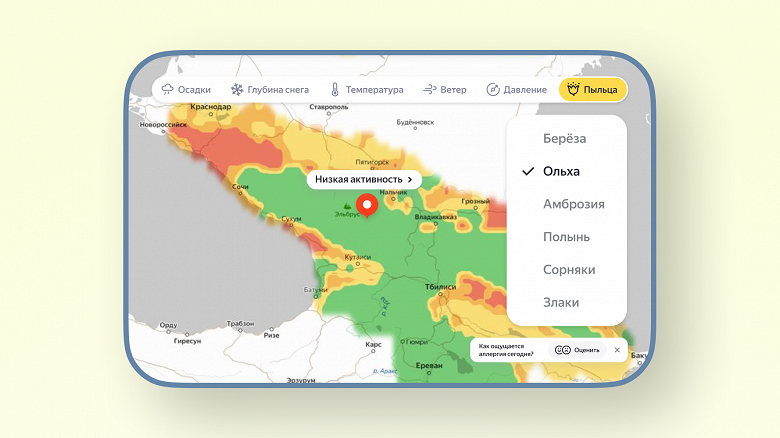 &laquo;Будьте Здоровы!&raquo;: в &laquo;Яндекс Погоде&raquo; появились карты для аллергиков, прогноз и предупреждения об активности пыльцы