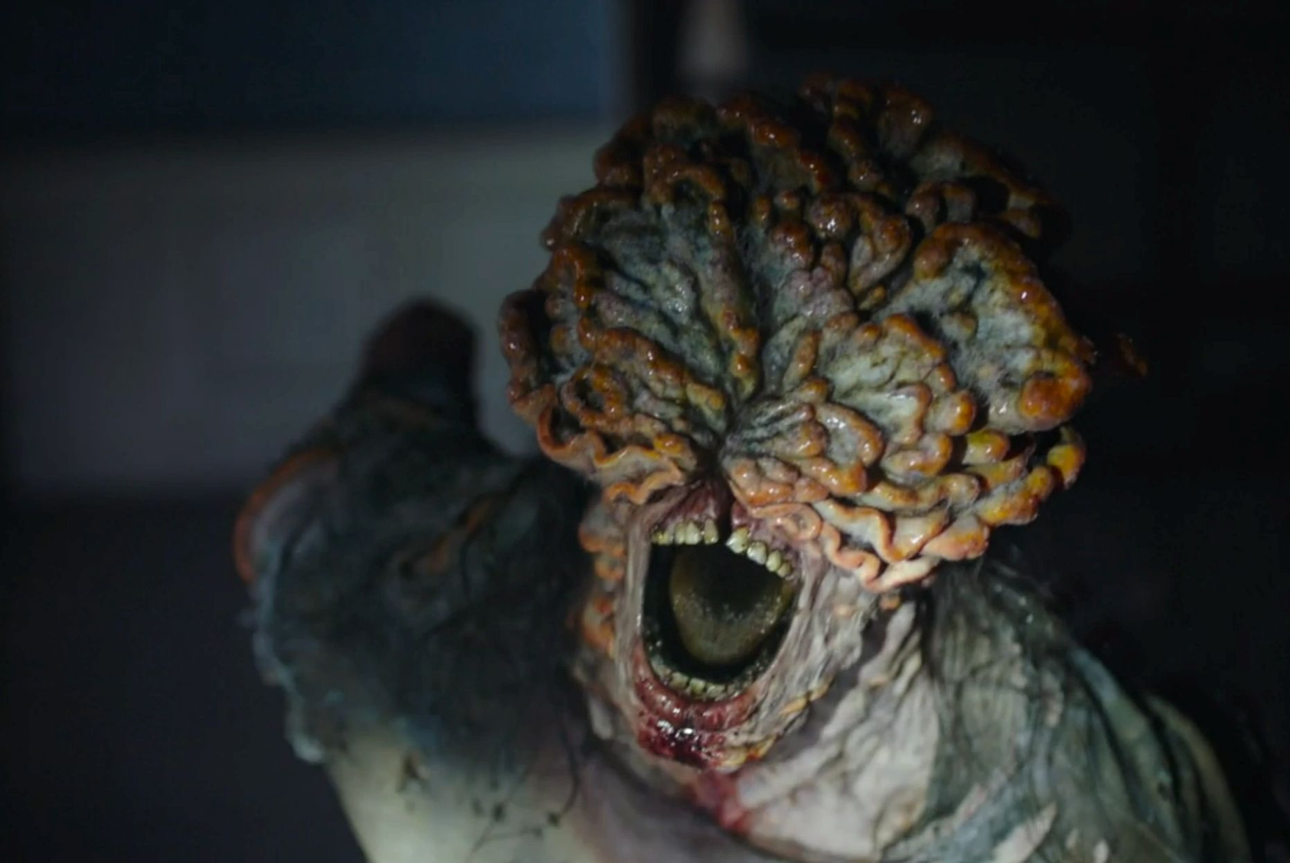 Изображение polygon.com