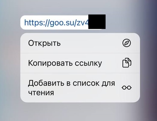 Ссылка, ведущая на фишинговый ресурс