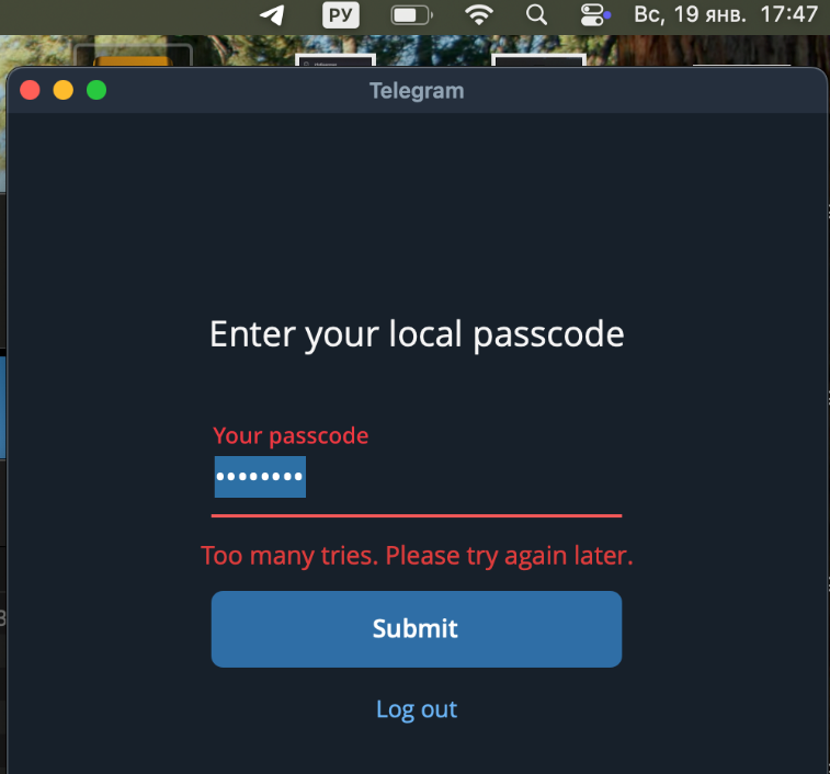 Окно для ввода локального код-пароля