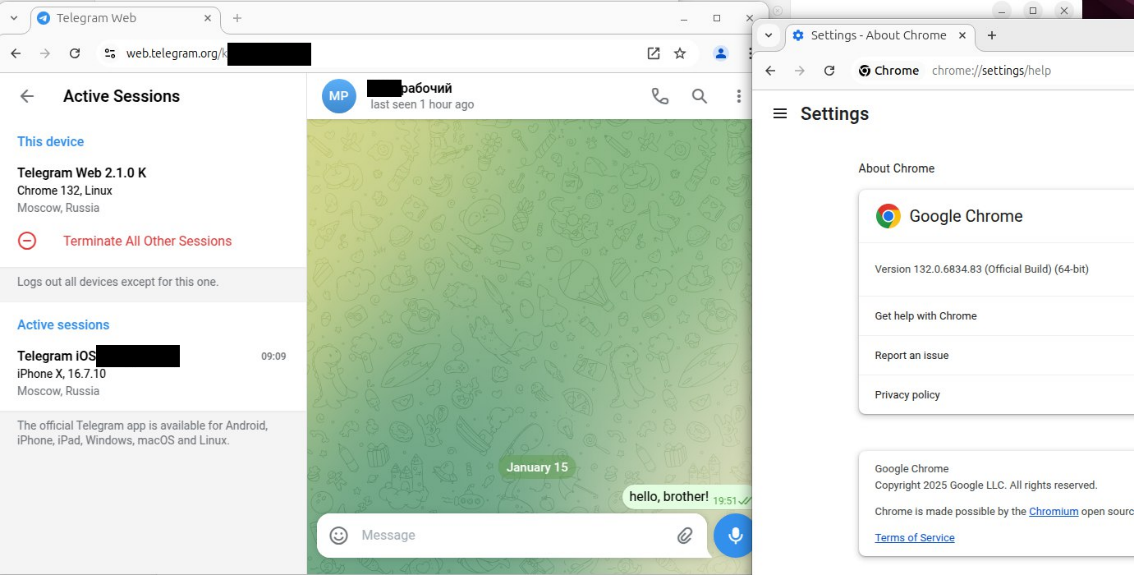 Сессия злоумышленника в веб версии Telegram в браузере Google Chrome версии 132.0.6834.83 на Ubuntu